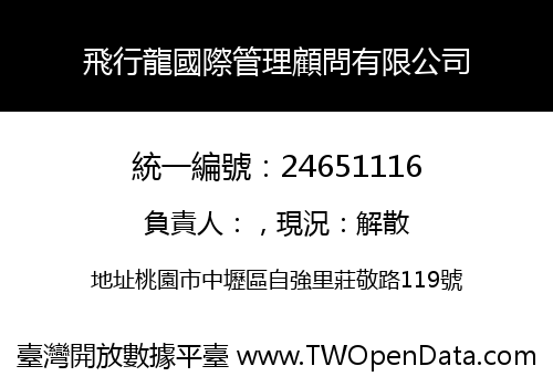 飛行龍國際管理顧問有限公司