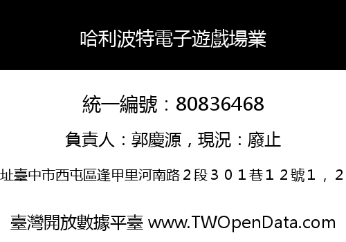 哈利波特電子遊戲場業