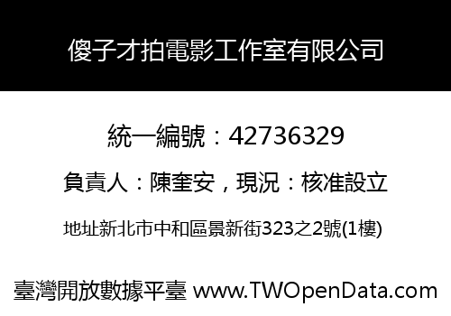 傻子才拍電影工作室有限公司