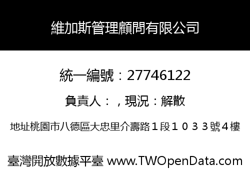 維加斯管理顧問有限公司