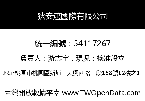 狄安邁國際有限公司