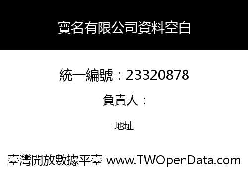 寶名有限公司資料空白