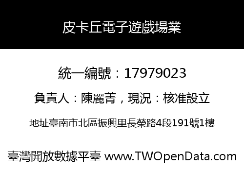 皮卡丘電子遊戲場業