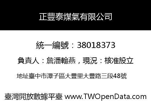 正豐泰煤氣有限公司