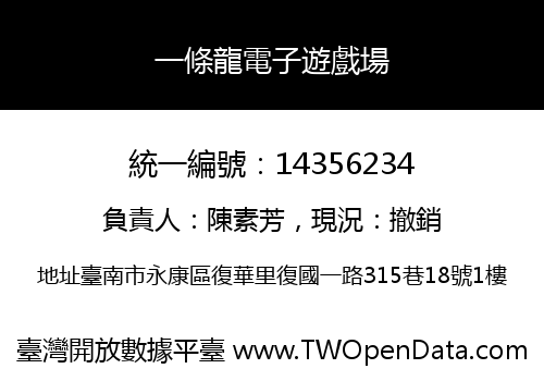 一條龍電子遊戲場
