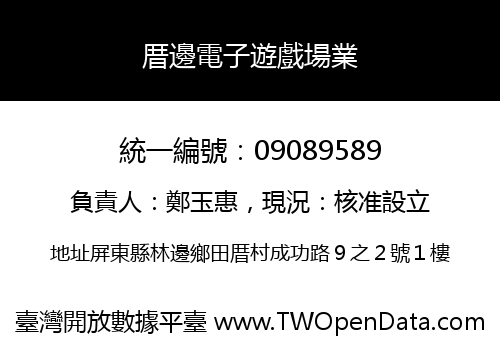 厝邊電子遊戲場業