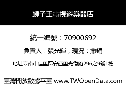 獅子王電視遊樂器店