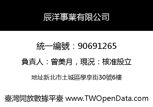 辰洋事業有限公司