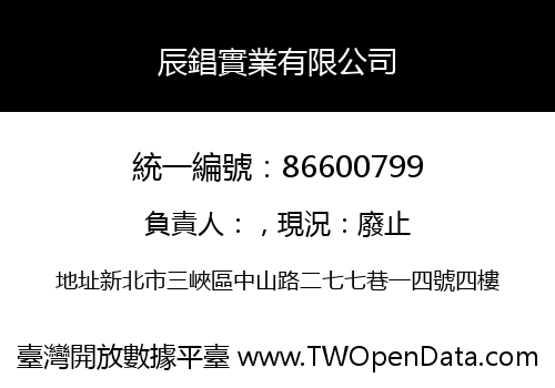 辰錩實業有限公司