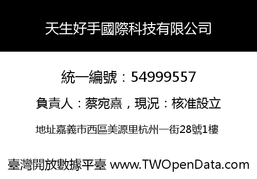 天生好手國際科技有限公司