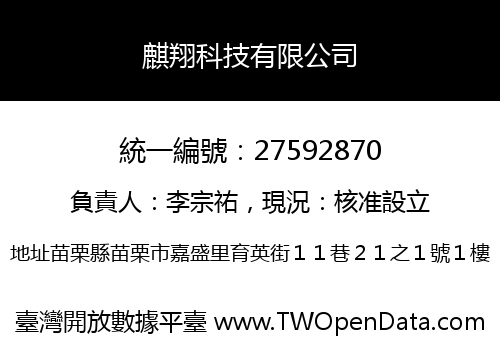 麒翔科技有限公司
