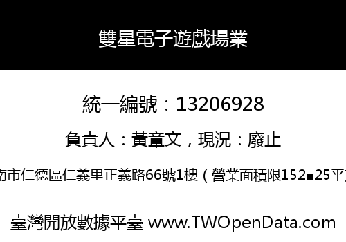 雙星電子遊戲場業