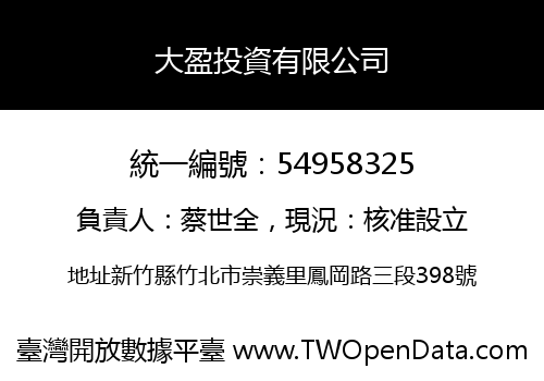 大盈投資有限公司