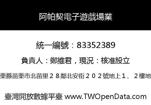 阿帕契電子遊戲場業