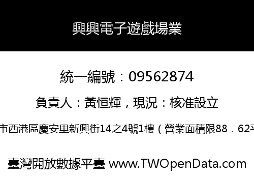 興興電子遊戲場業