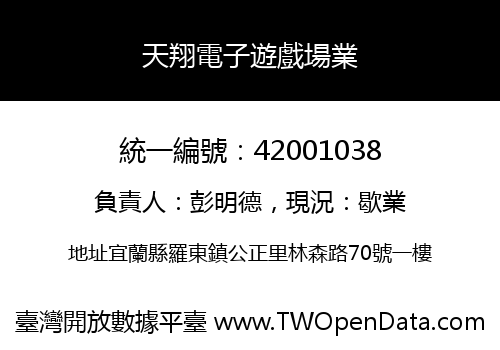 天翔電子遊戲場業
