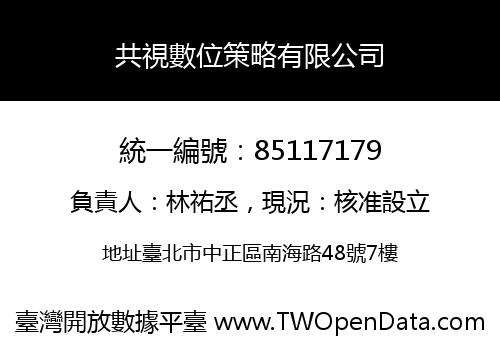 共視數位策略有限公司