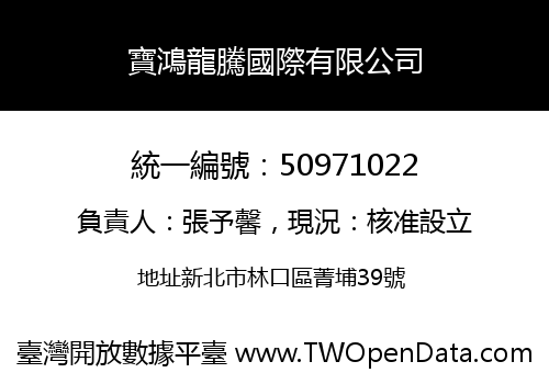 寶鴻龍騰國際有限公司