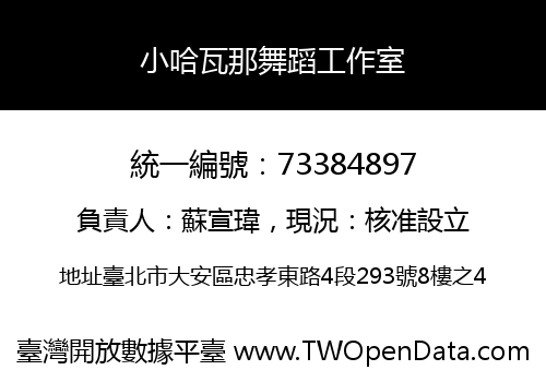 小哈瓦那舞蹈工作室