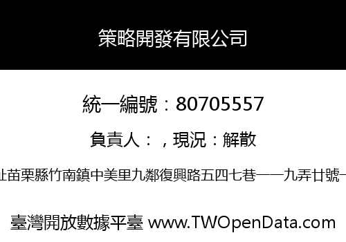 策略開發有限公司