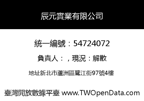 辰元實業有限公司