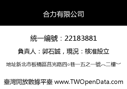 合力有限公司