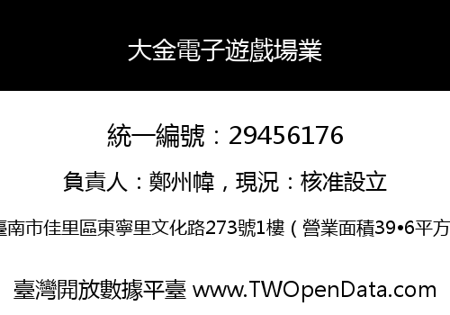 大金電子遊戲場業
