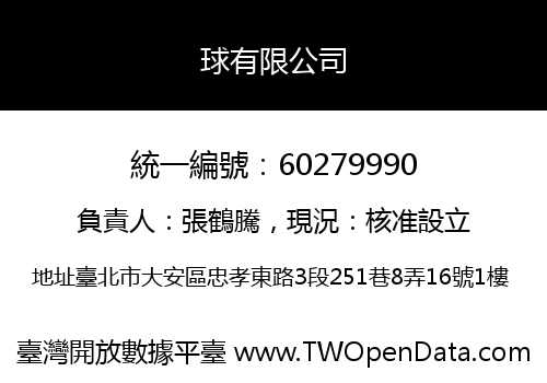 球有限公司