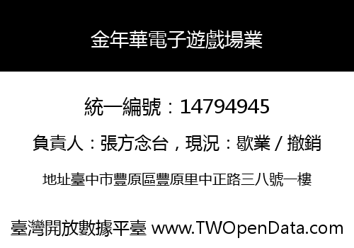 金年華電子遊戲場業