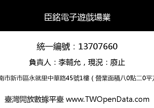 臣銘電子遊戲場業
