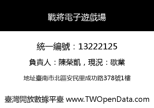 戰將電子遊戲場