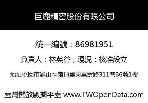 巨鹿精密股份有限公司
