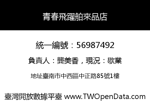 青春飛躍舶來品店