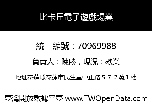 比卡丘電子遊戲場業