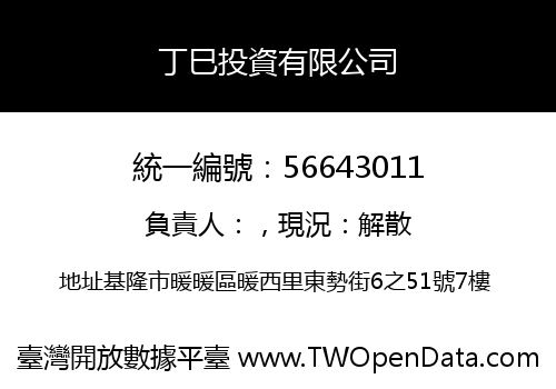 丁巳投資有限公司