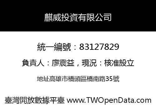 麒威投資有限公司
