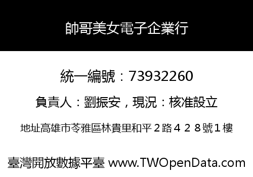 帥哥美女電子企業行