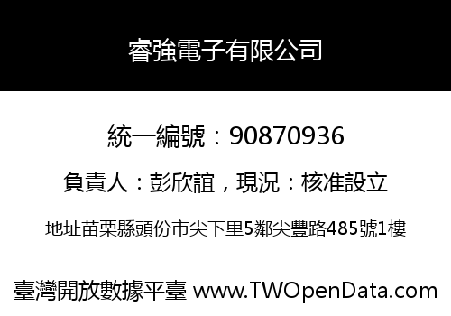 睿強電子有限公司
