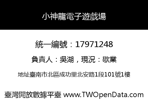 小神龍電子遊戲場
