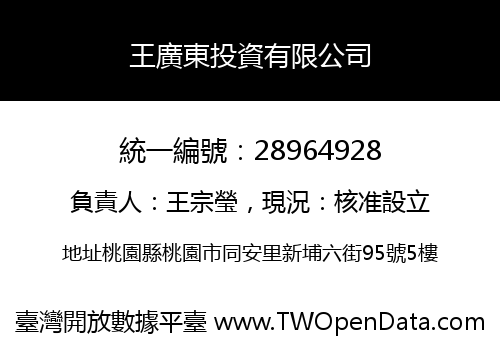 王廣東投資有限公司