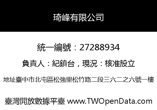 琦峰有限公司
