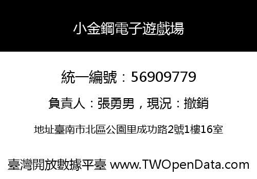小金鋼電子遊戲場