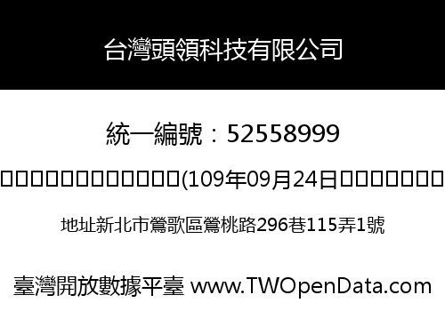 台灣頭領科技有限公司