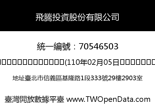 飛騰投資股份有限公司