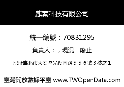 麒蓁科技有限公司