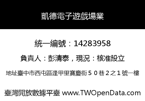 凱德電子遊戲場業