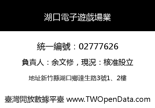 湖口電子遊戲場業