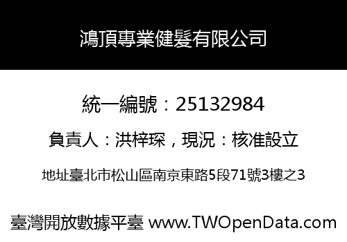 鴻頂專業健髮有限公司
