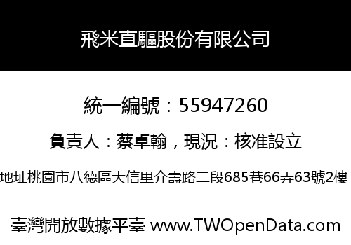 飛米直驅股份有限公司