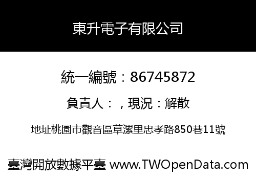 東升電子有限公司